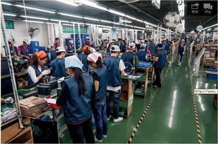 进电子厂为何需要通过中介 重新理解人力中介服务的价值